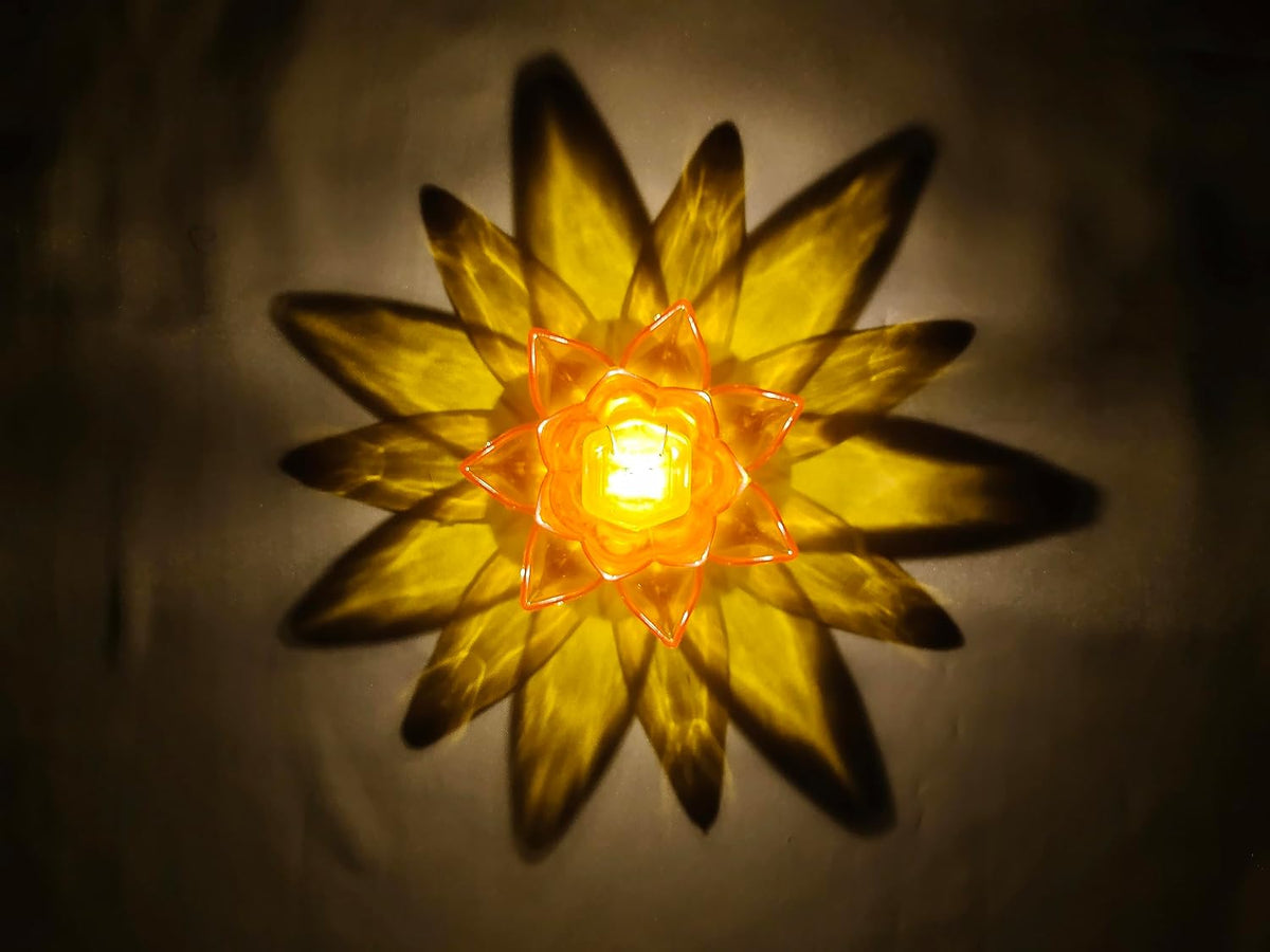 Lotus 3D Reflection Water Diya (Pack of 36)