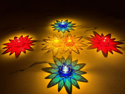 Lotus 3D Reflection Water Diya (Pack of 36)